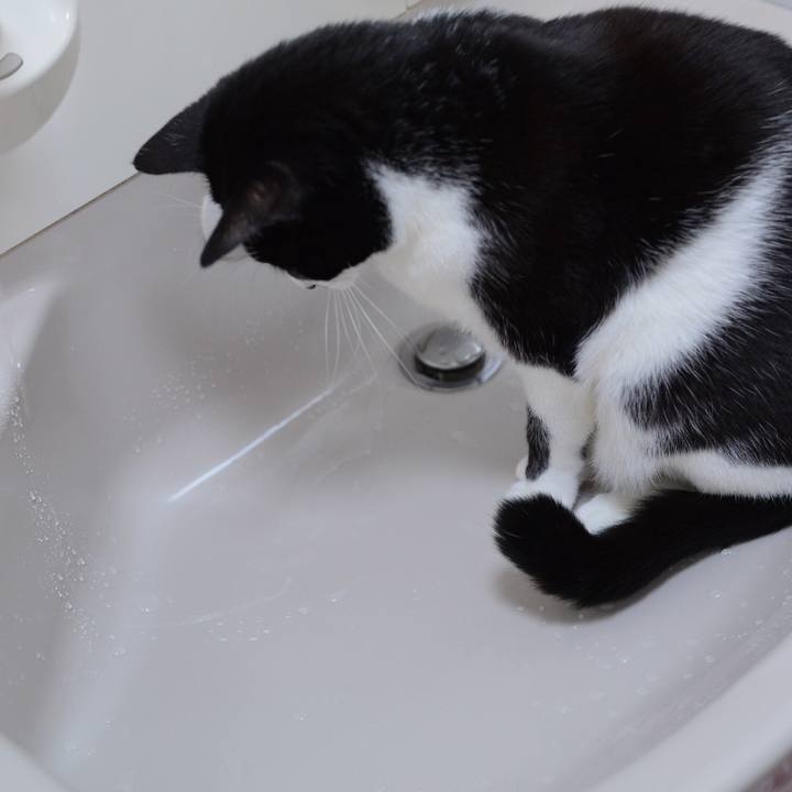 0297e8d3 7f6e 40a5 9d1b 049152b104a5