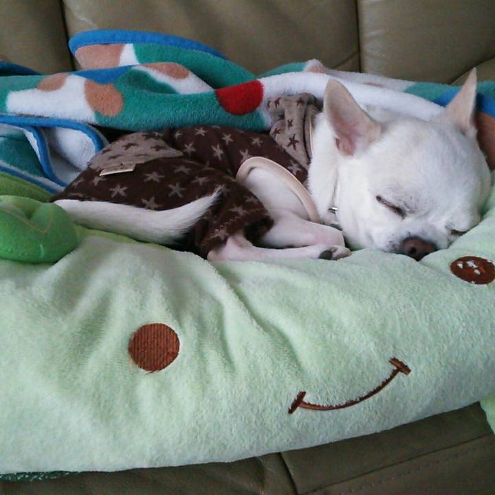 029859fb c410 4dce 9df3 83184e963312