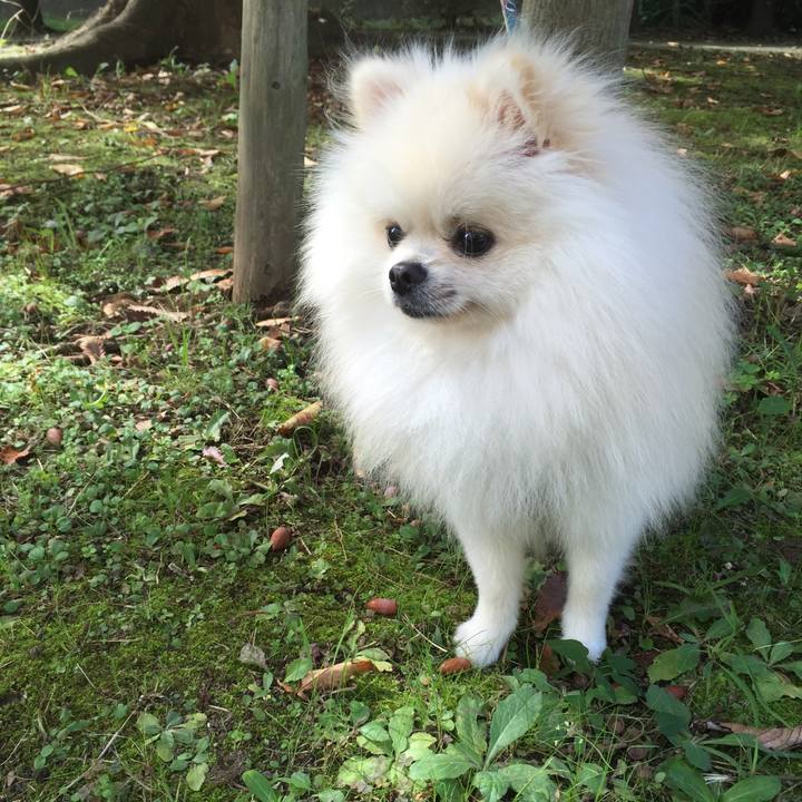 02985ff2 6654 469e ac2d 6019fd0d5559