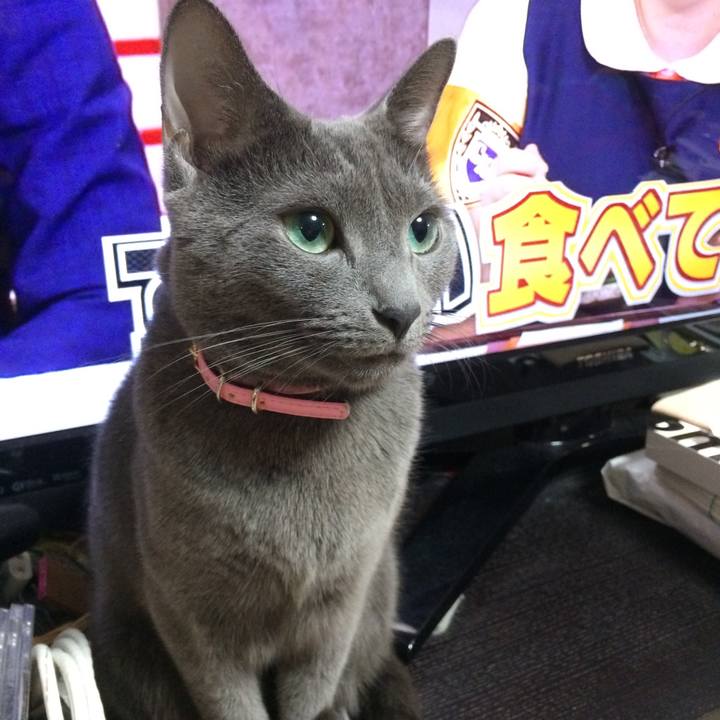 029896ca 1231 409d a1be bdf85331b939