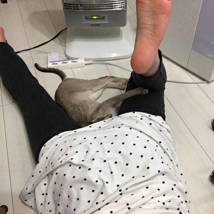 0298a374 ab07 4abf b8eb 2abb2cb535d4