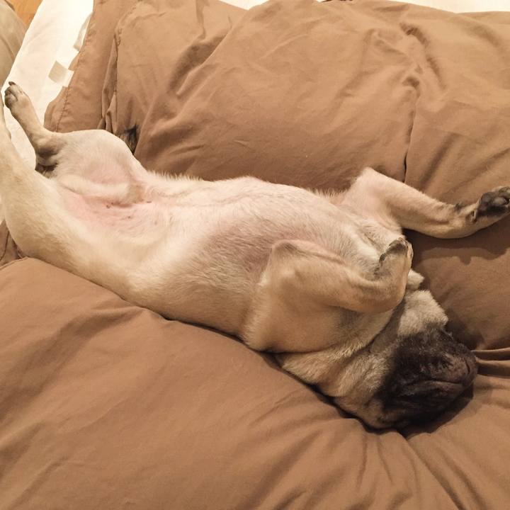 0298ca94 332b 4a83 97a6 2570c9138cc3