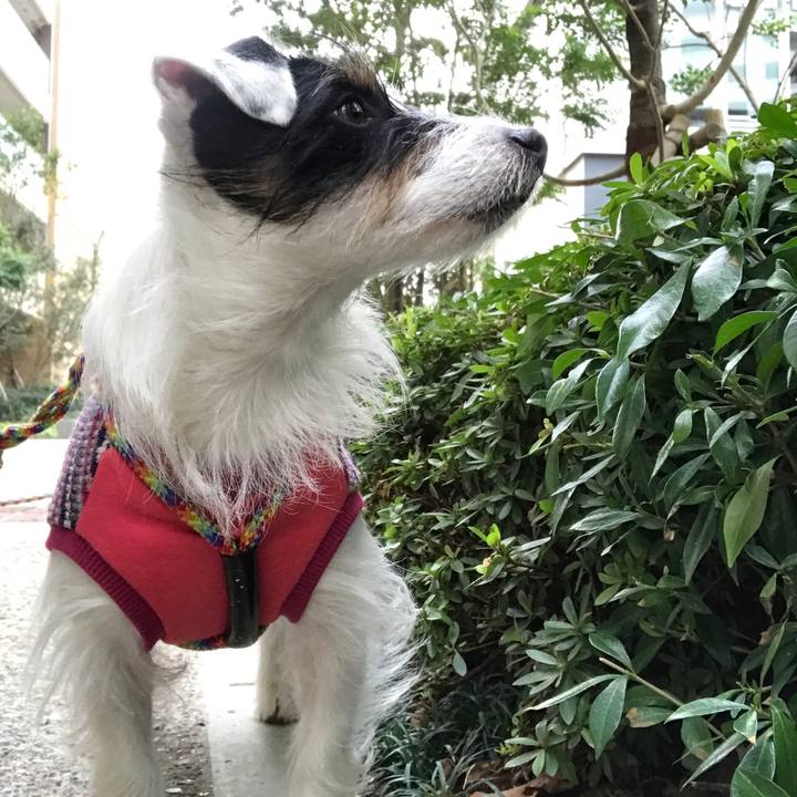 0298cb5e 4e0f 4c27 9478 0ca58dc9fcd3