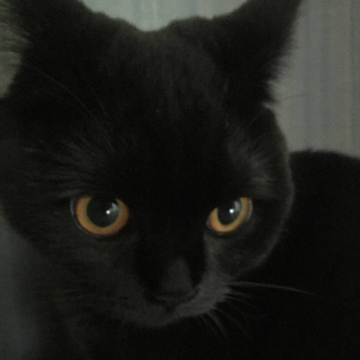 0298e374 f235 42c2 a2d2 962327daf5e4