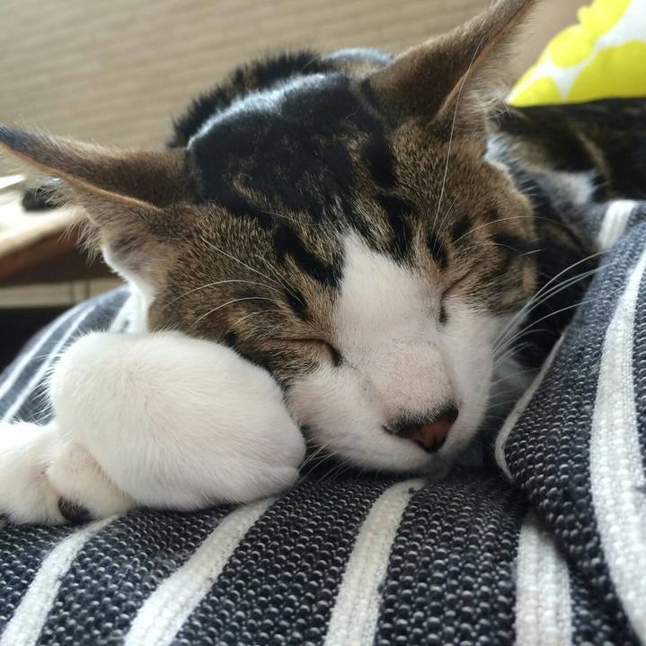 02992b70 da40 4e23 9446 c743f8c7c822