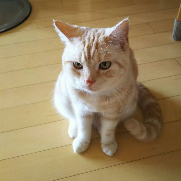 0299a3d9 29e3 4858 b5a5 7509ae53f741