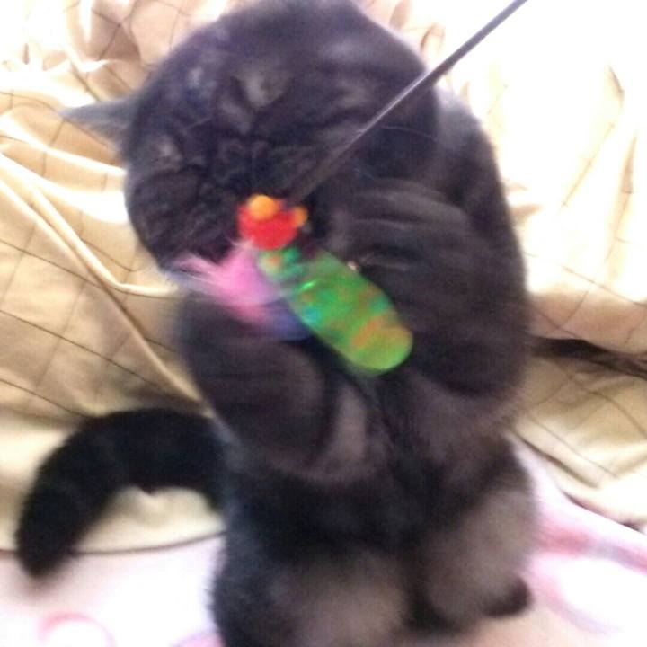 0299baf6 ec09 4046 bf40 4221a668c69b