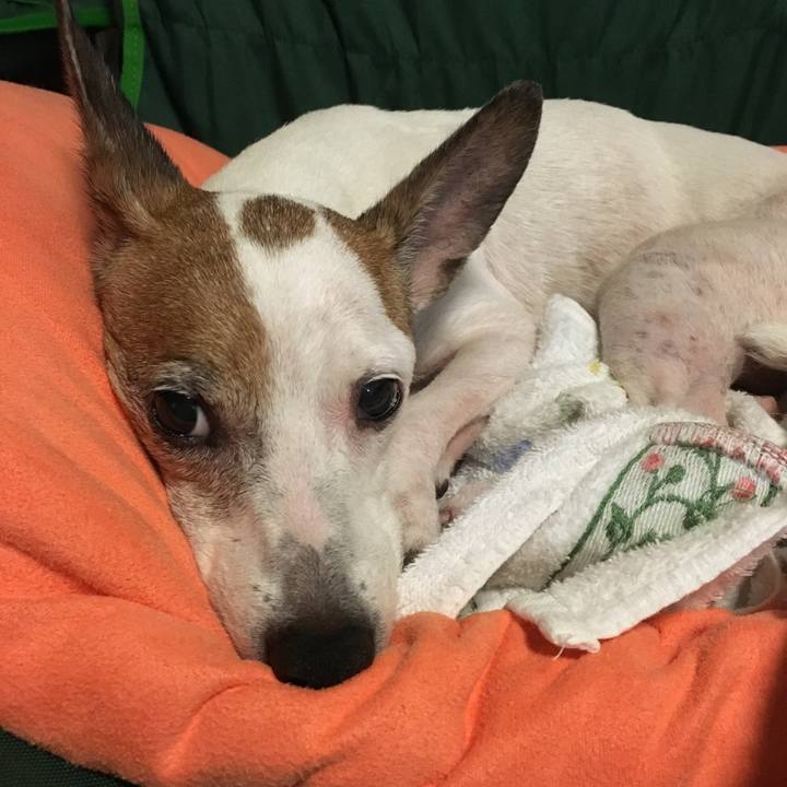 029a29f1 2b6b 406b bf71 b244c5ea0020