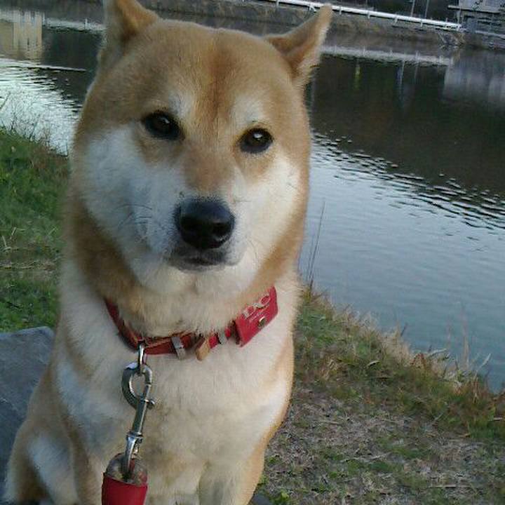 029aa85c 9812 4b15 a696 dcc74cb4108b