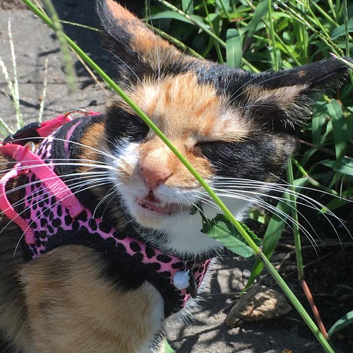 029c0bed 28db 4c5d a8b0 57689a1a1b56