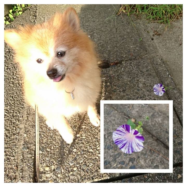 029c7be3 ed39 4310 b22d 63db2ebe34c7