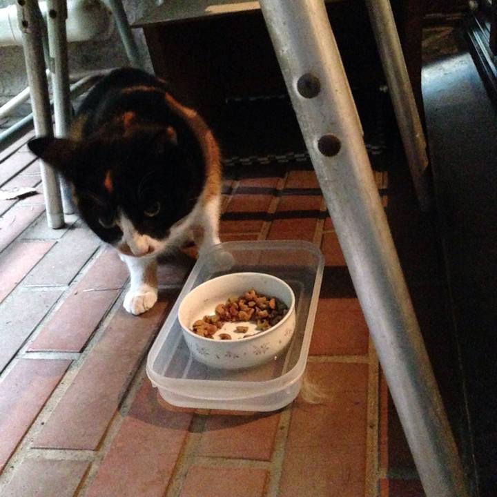 029cfb59 ae73 4b95 8835 32942ad301db