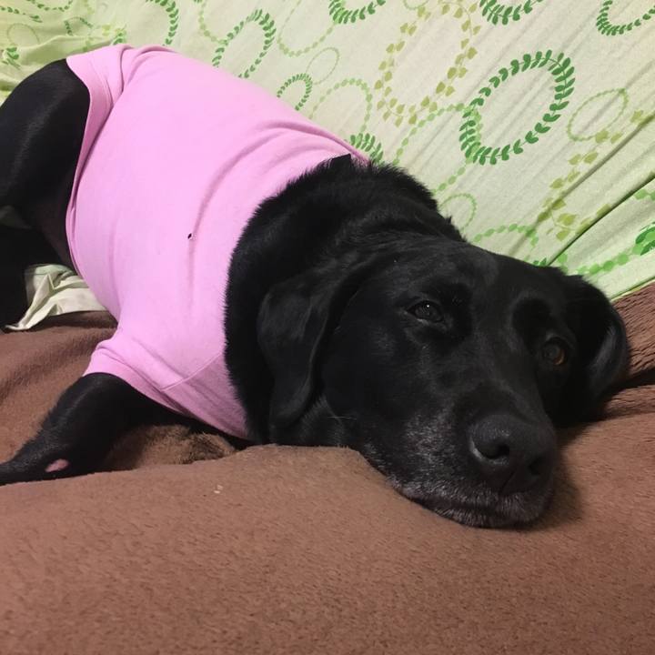 029dac4e dd43 4cb5 869d e4bfa404c5ca