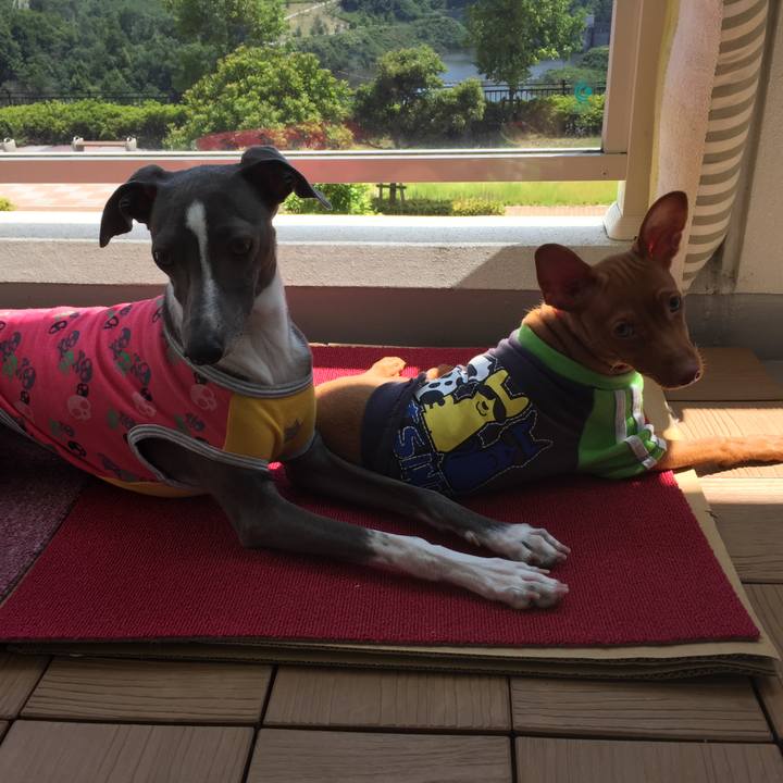 029df704 d6fc 45ae 80b1 fd8a5f5a5c18