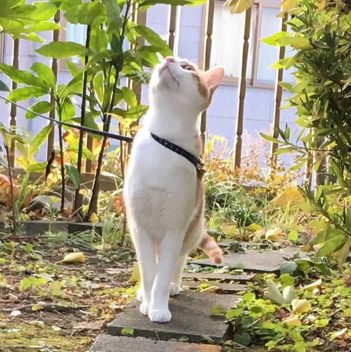 029e6335 7278 4e29 8a20 06df38019d14