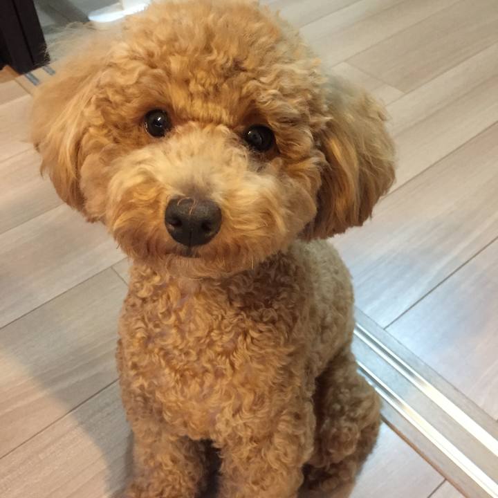 029e6424 28aa 41e1 bf2e 69fe3c37e27e