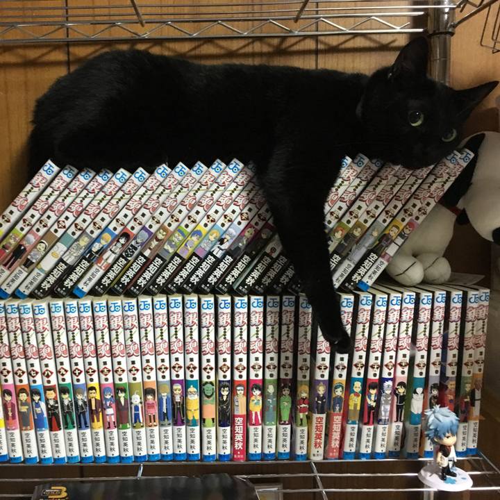 029f9ebb 1b8b 42b7 9a8f 51c02c403a03