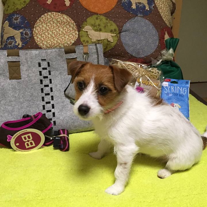 029fa5e8 1897 4cc5 b638 2b61bd68021d