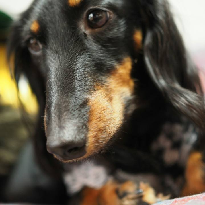 02a025e1 e6a2 467c be3c 8de6eae48c1d