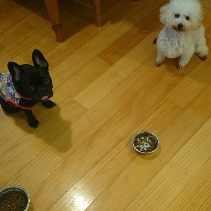 02a093b1 a46d 452a 84e9 dcb17f36475a