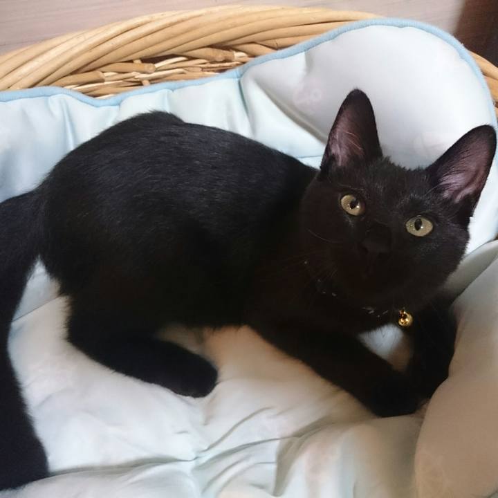 02a20be3 738d 4f45 997e ca2ed43ef584