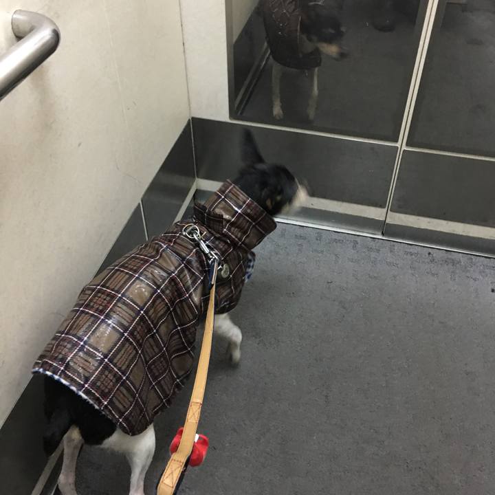 02a30920 e9ac 47e0 af53 efdfd6e00909