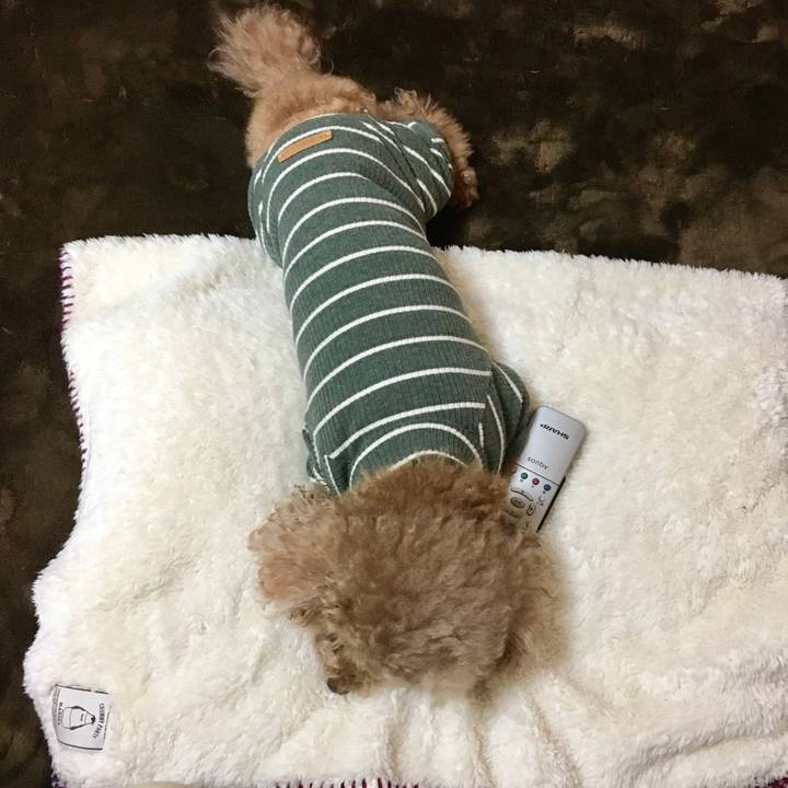 02a3c256 d262 45e3 b355 ffbd51e7f1a1