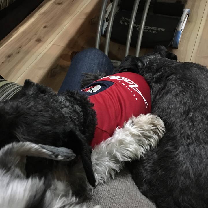 02a3e8d8 0735 4690 ade1 81726c853461