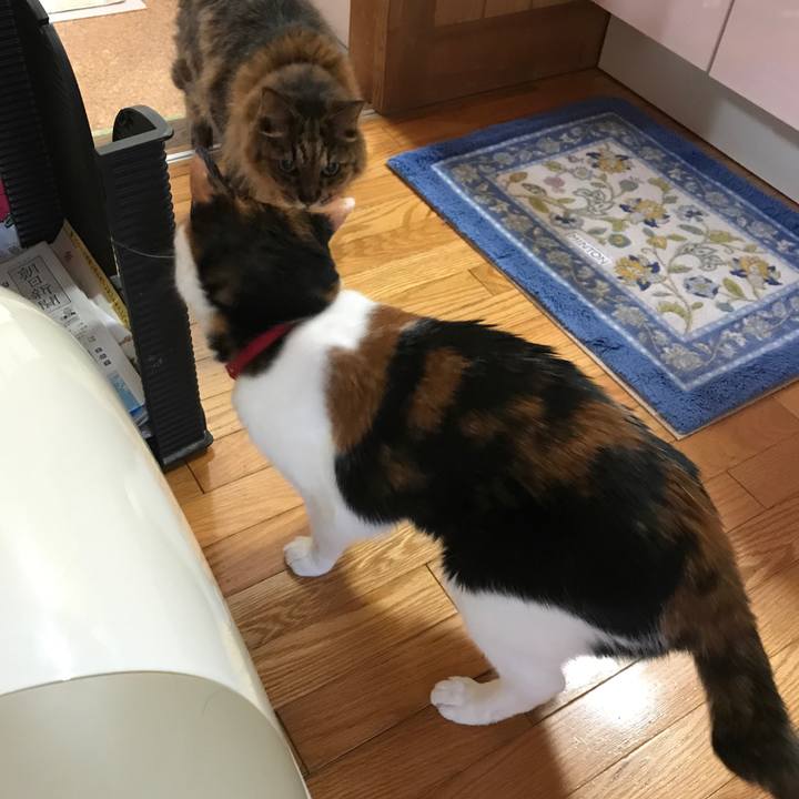 02a3eb7d cf49 471d 9641 369e02d90fbe