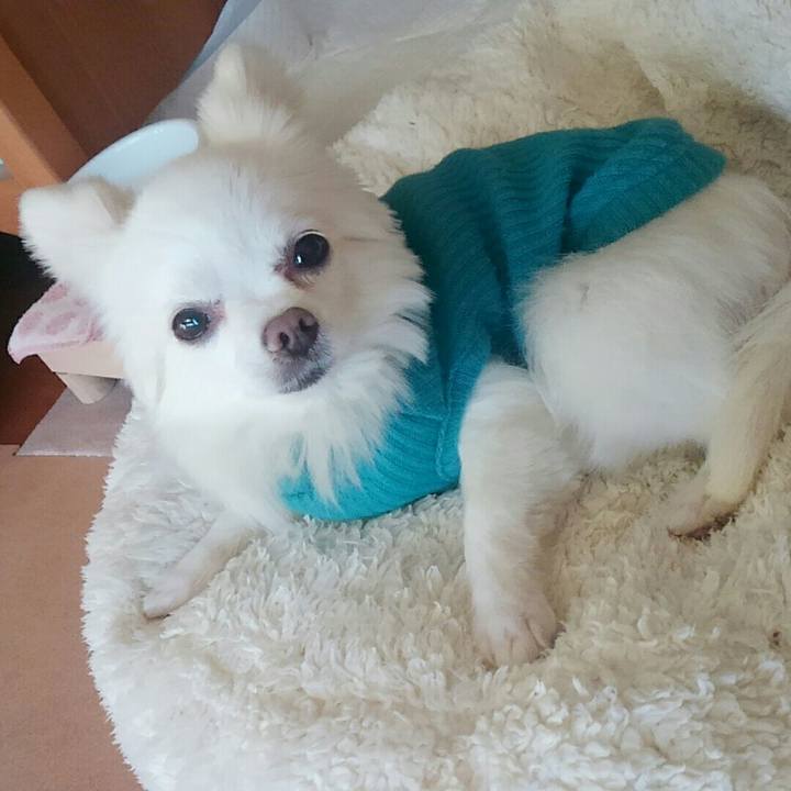 02a42678 9a7a 45f2 956a 1e33b65b6376