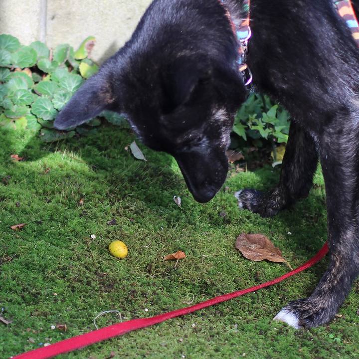 02a42a5f 5f72 4f65 b5ec 2aff3588e8f3