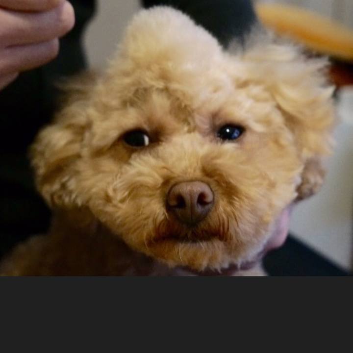 02a5a169 cb69 4e87 bc00 1980b2942cc3