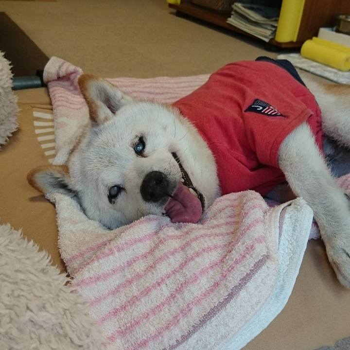 02a5d0c0 f37d 42dd 975f 6b3610301272