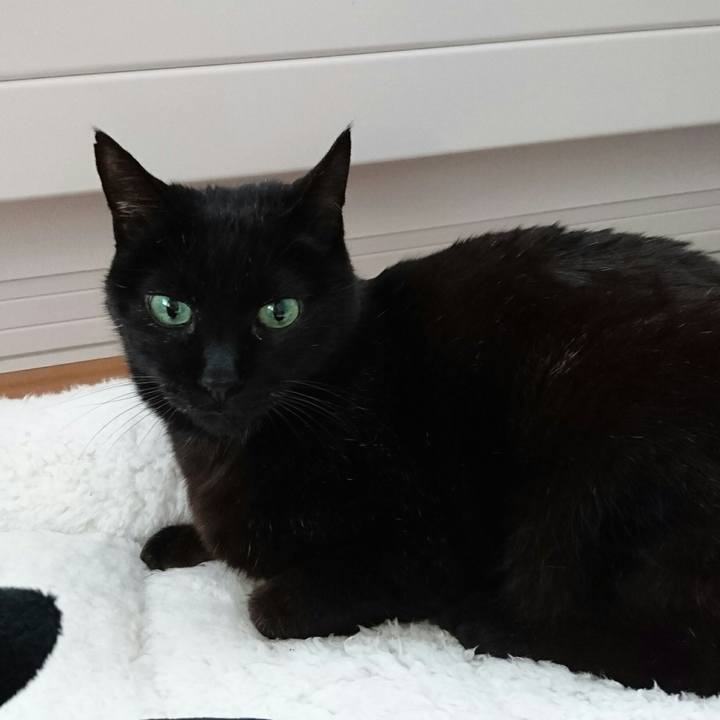 02a606cb 1f74 43f4 b7d0 27e18ddb4332