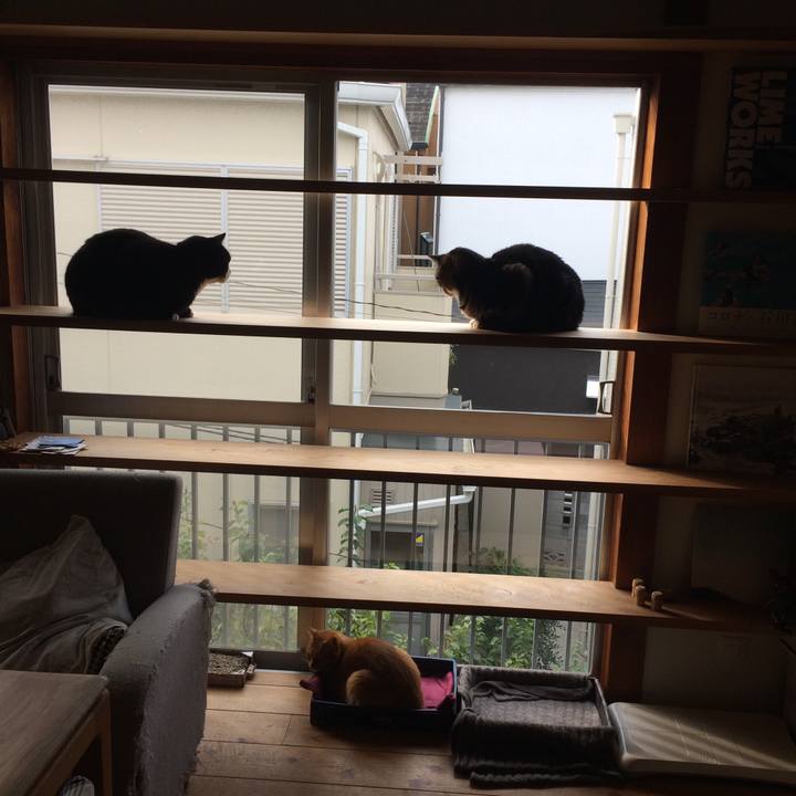 02a651f9 11cf 4913 a3be 26075680ffe2