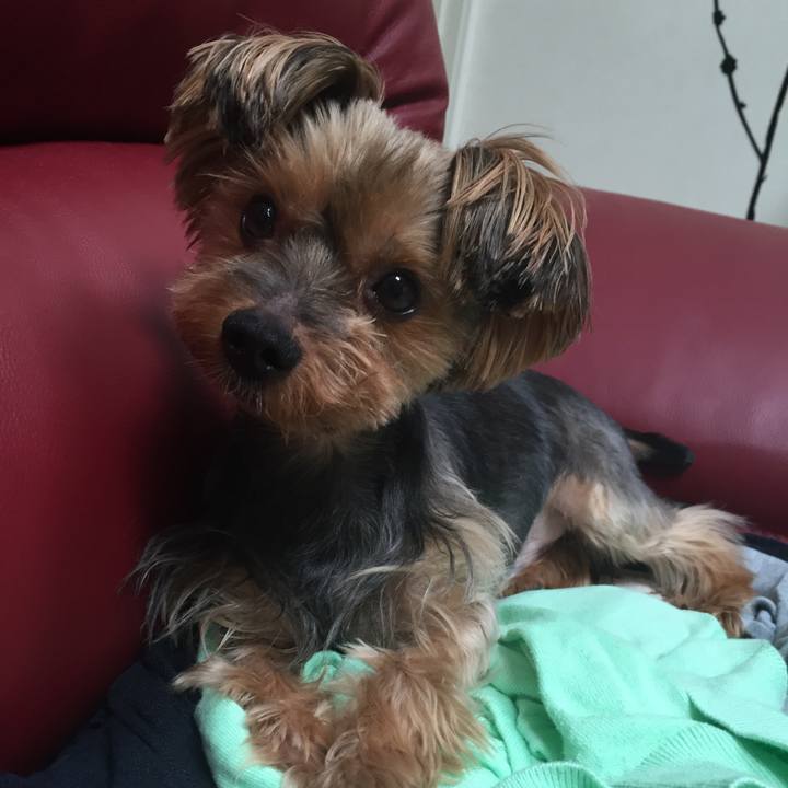 02a6fc1b a6dc 4085 8381 019c3ec94857