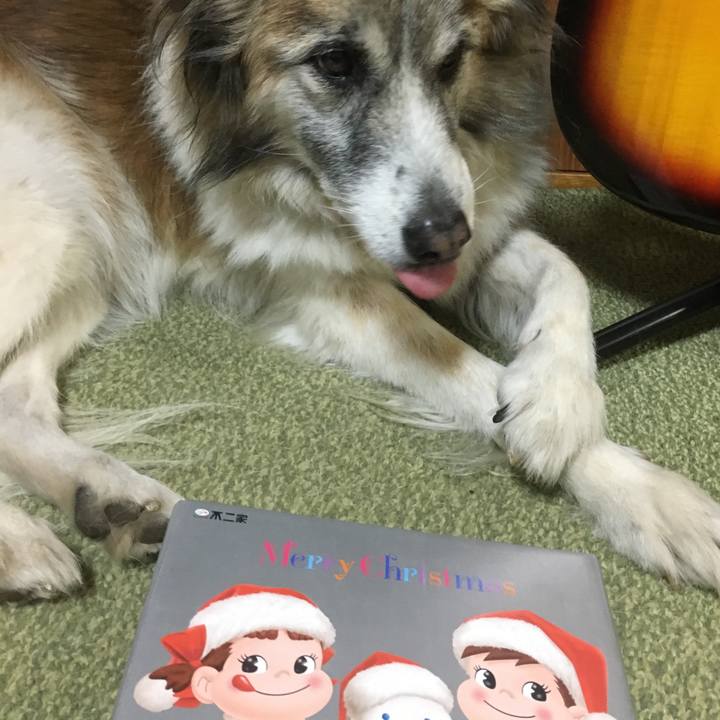 02a77f21 dcae 449f 9f36 9fc2d149ef1a