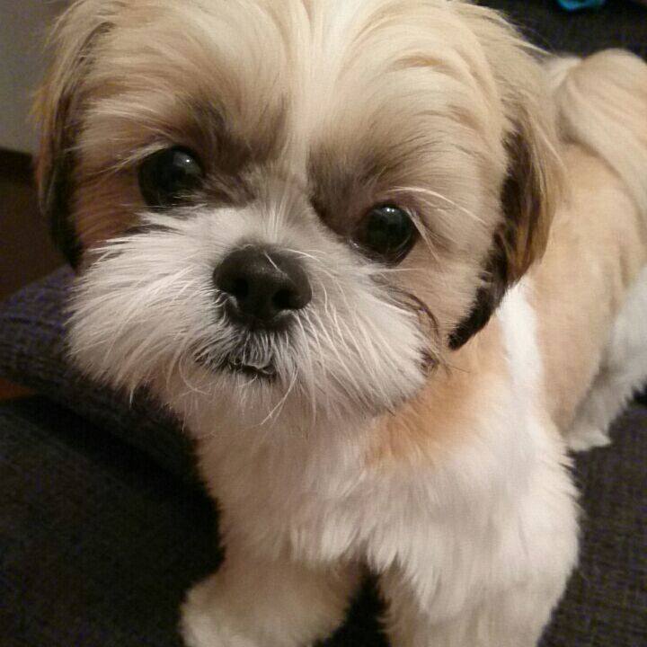 02a7dbd7 4c43 4257 bb34 5ced67340ea2