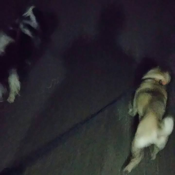 02a8487d c6f9 45ba b4b1 119e6e5e2250