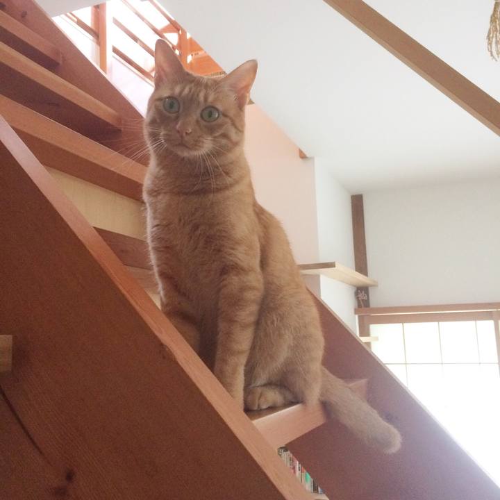 02a863b4 9f30 407c 861b 564aa145ec9d