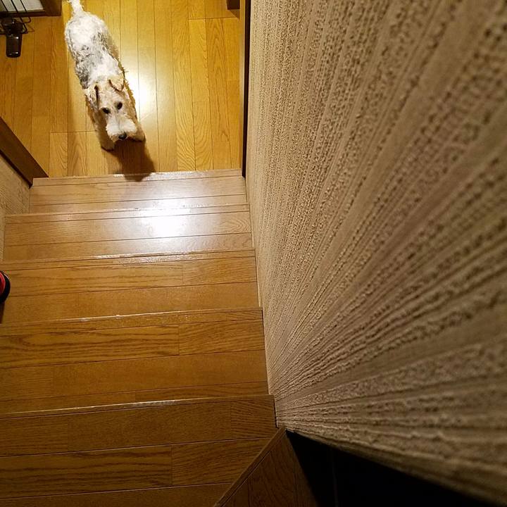 02a88775 410a 4770 a7b4 f0d571a717b2