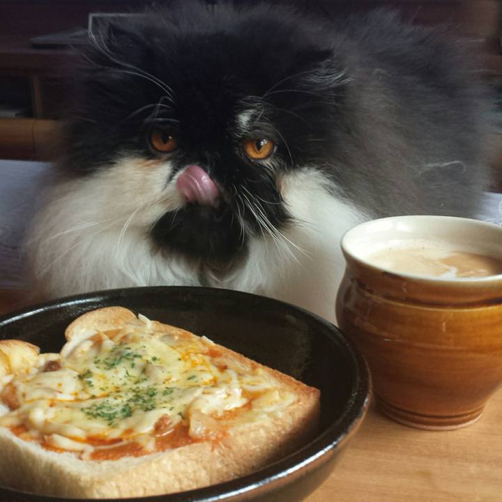 02a97190 a8d2 4e7c b58f d6f69ee0408e