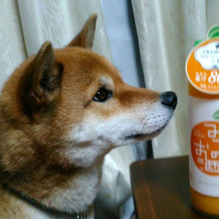 02aa4f1f d375 45f9 b94f 3d86bca6871a