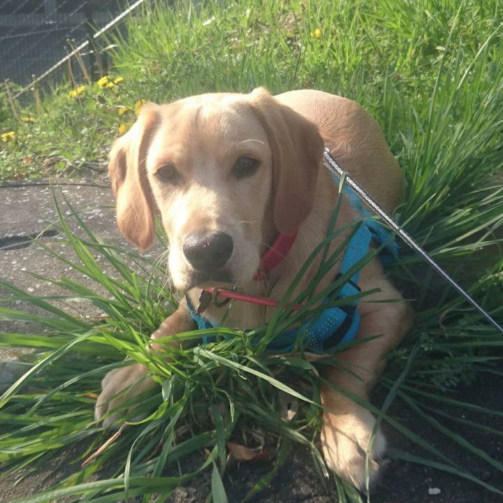 02aa7003 2a6c 4dbc b80a e6a1049543eb