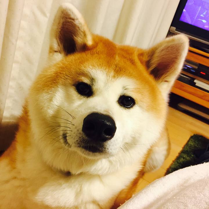 02ab18eb e6f7 4205 abe7 690a6debe92e