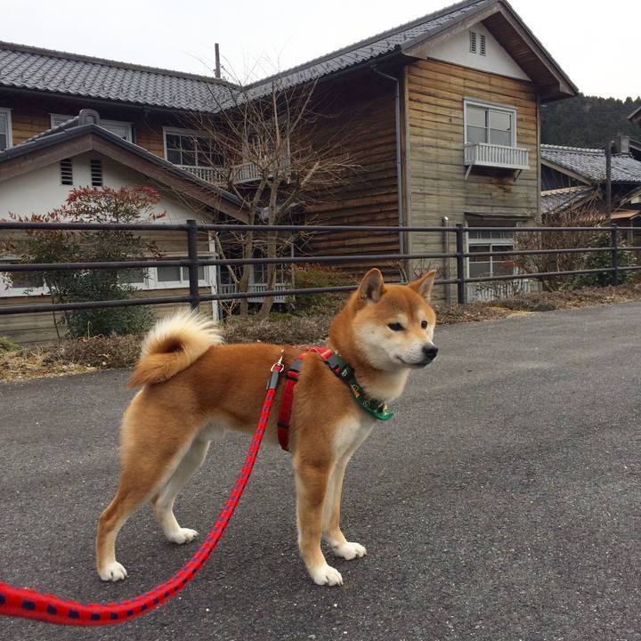 02ab20c2 b505 461d 8480 55e99ffef55e