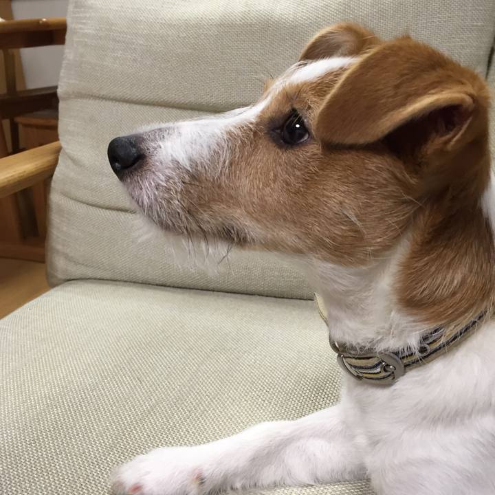 02ab5750 a920 4591 97db f7486e3047b2