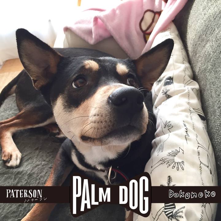 02abc027 9406 4262 bbbc 343f5101c219