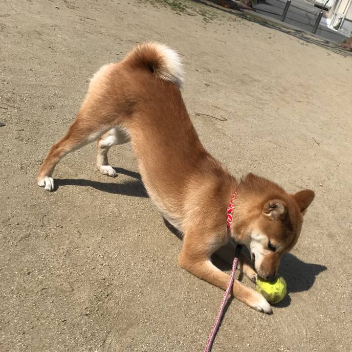 02ac1955 30f0 4f18 b4c2 3a7b32e3f004