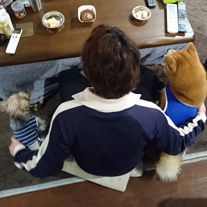 02ac41f6 d9a7 48c5 9366 3f7a3728ada8